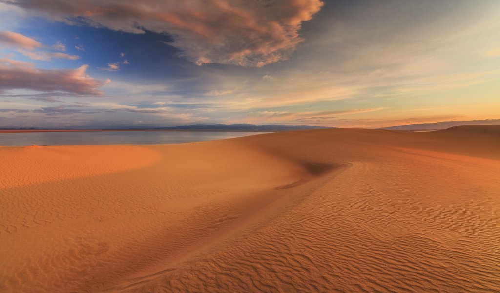 Polish archeologists uncover Stone Age settlements in Gobi desert