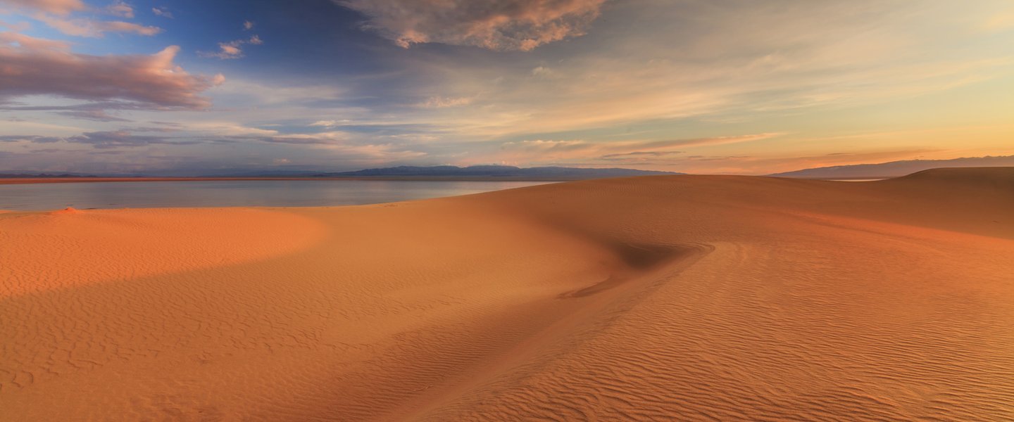 Polish archeologists uncover Stone Age settlements in Gobi desert