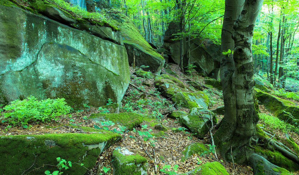 Magura National Park - Poland.pl