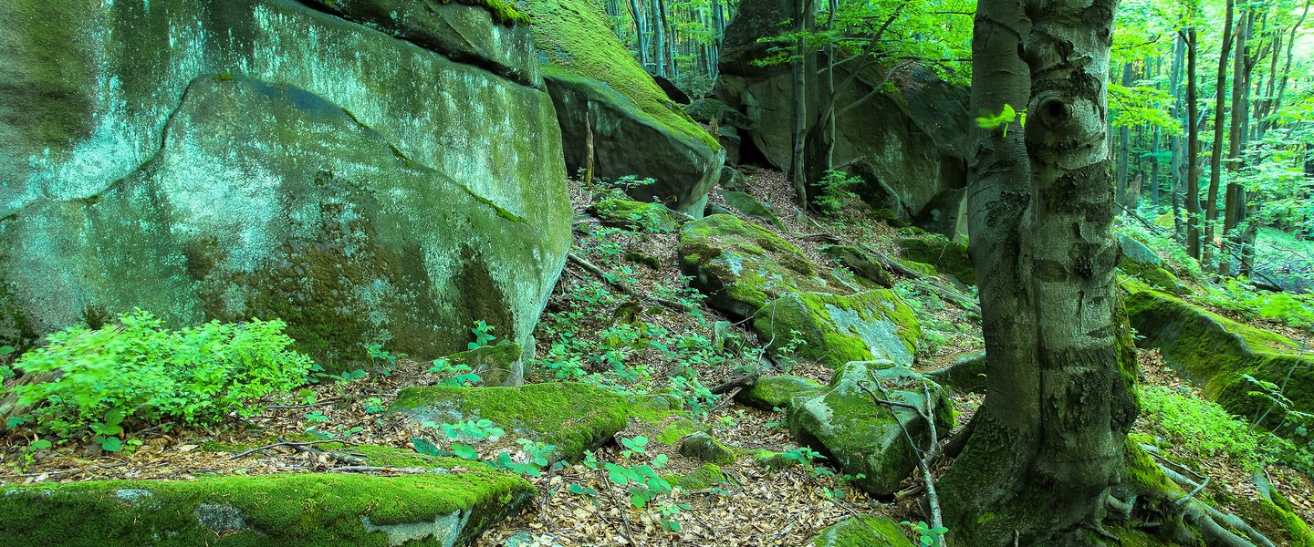 Magura National Park