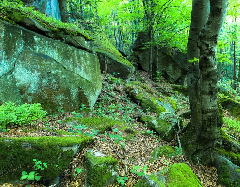 Magura National Park