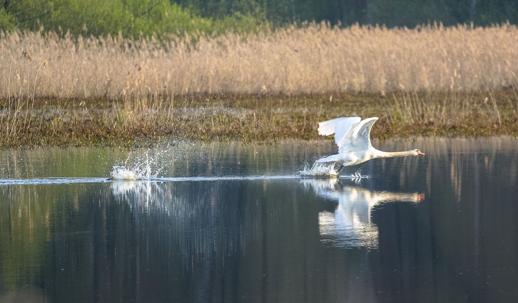 Polesie National Park