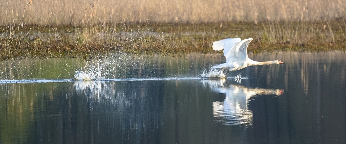 Polesie National Park