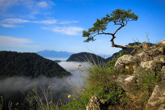 Pieniny National Park