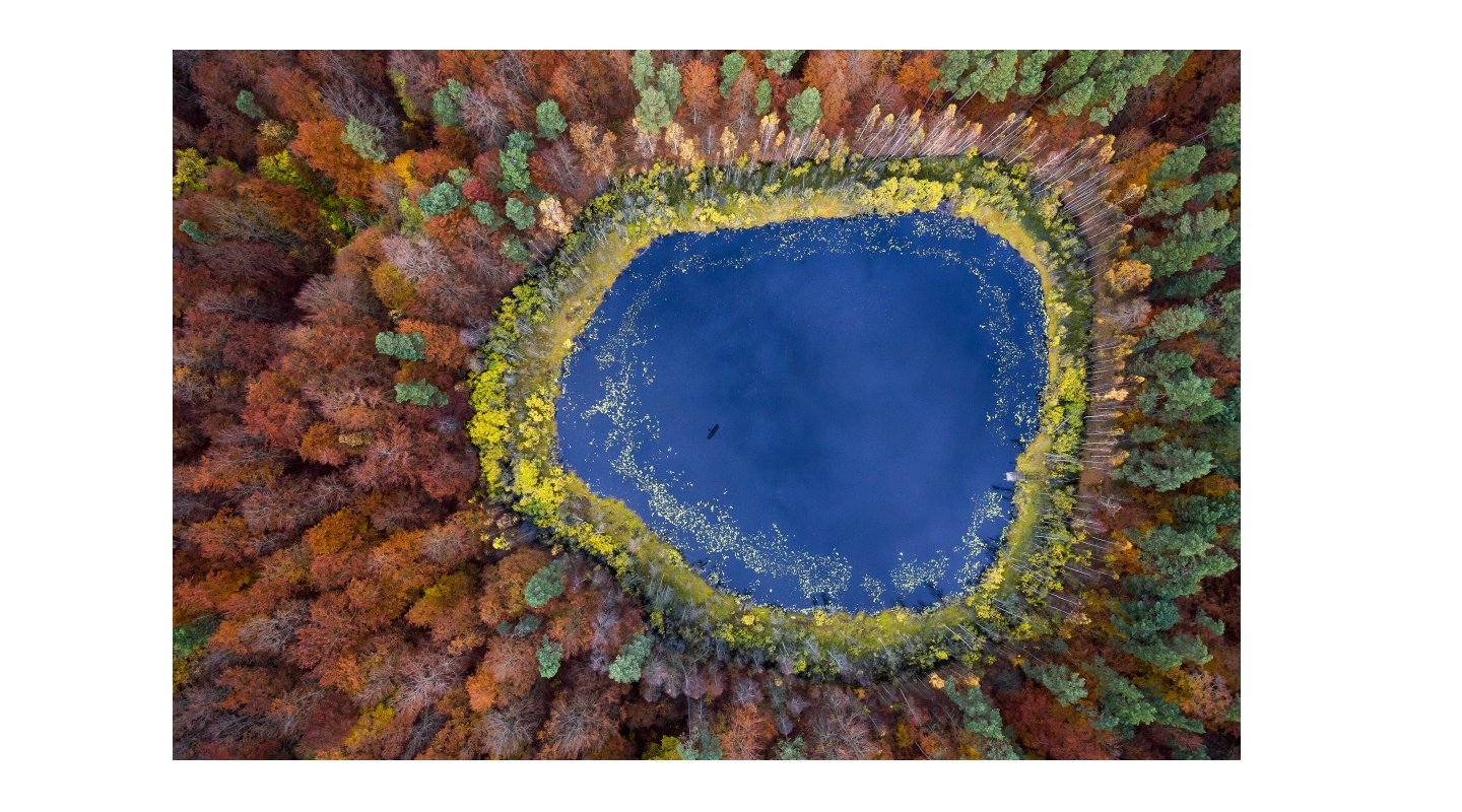 Lake near Gdynia in autumn/Side Effects