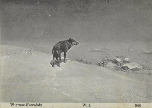 Wolf, by Alfred Wierusz-Kowalski (1906)