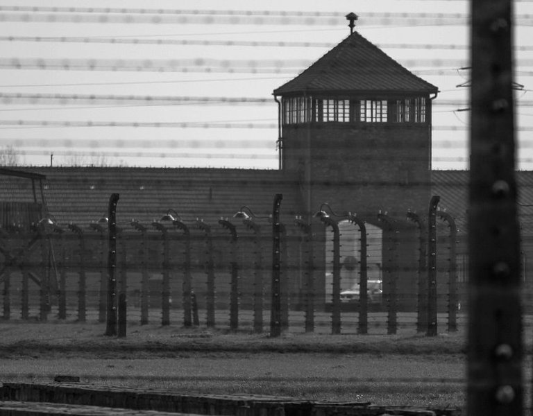 Auschwitz-Birkenau Camp