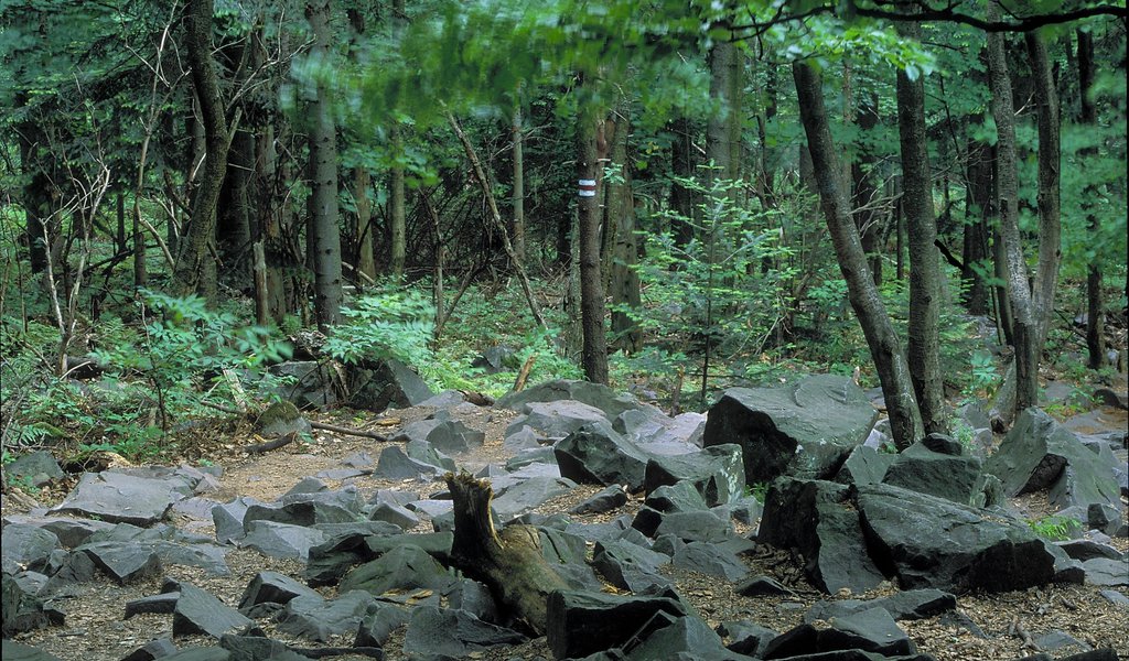 Świętokrzyski National Park