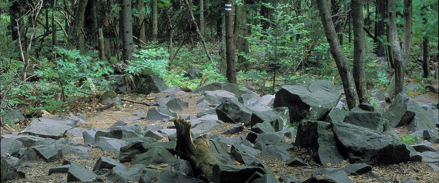 Świętokrzyski National Park