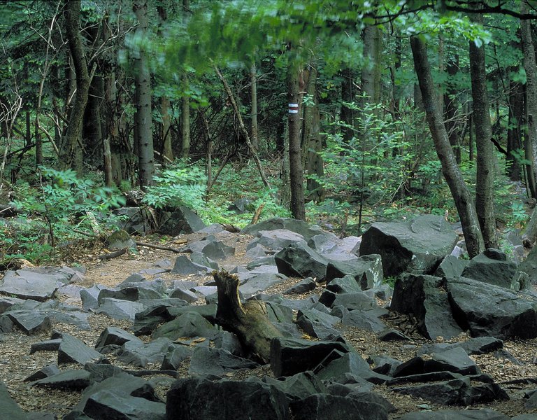 Świętokrzyski National Park