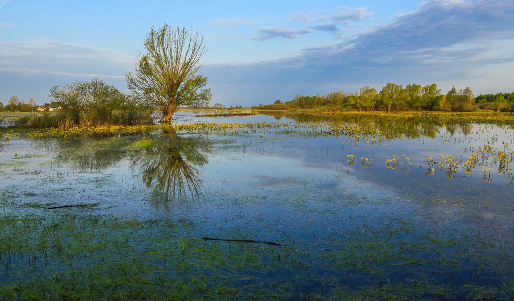 Biebrza National Park