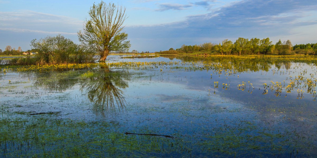 Biebrza National Park