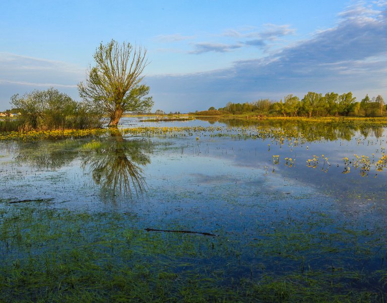 Biebrza National Park