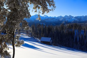 Tatras sees record number of tourists in 2016