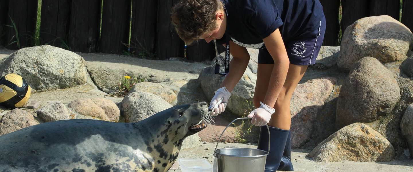 More seals in the Baltic Sea!