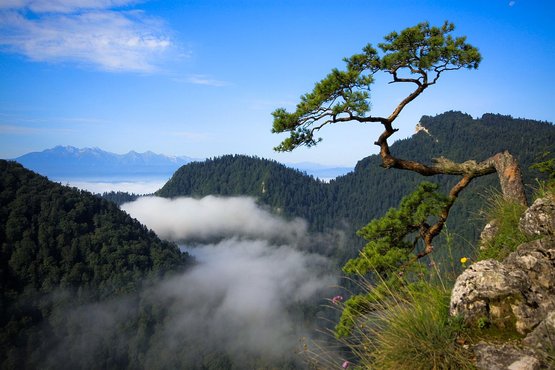 Pieniny Mountains