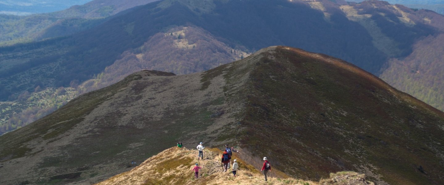 Bieszczady National Park