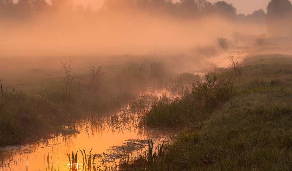 Kampinos National Park