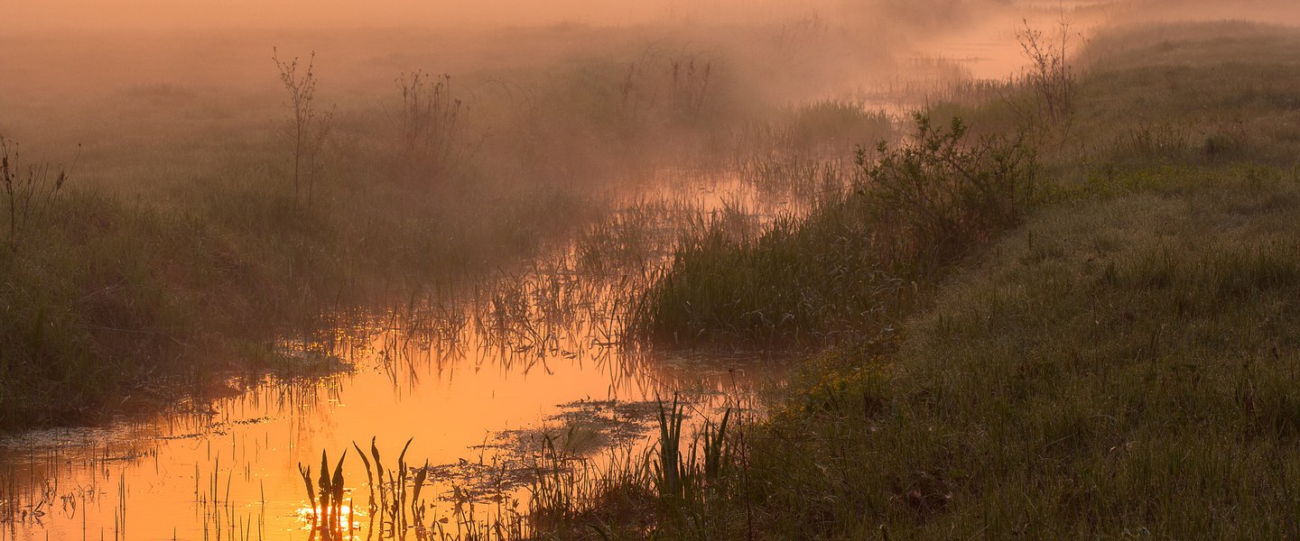 Kampinos National Park