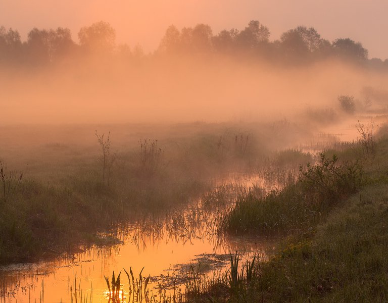 Kampinos National Park