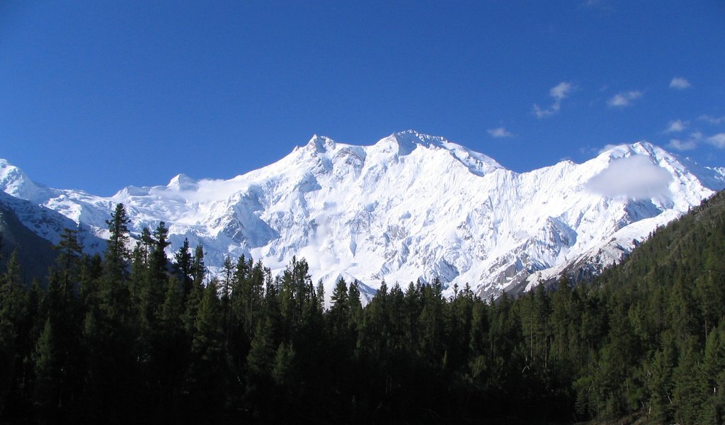 Polish team rescues French climber from Nanga Parbat