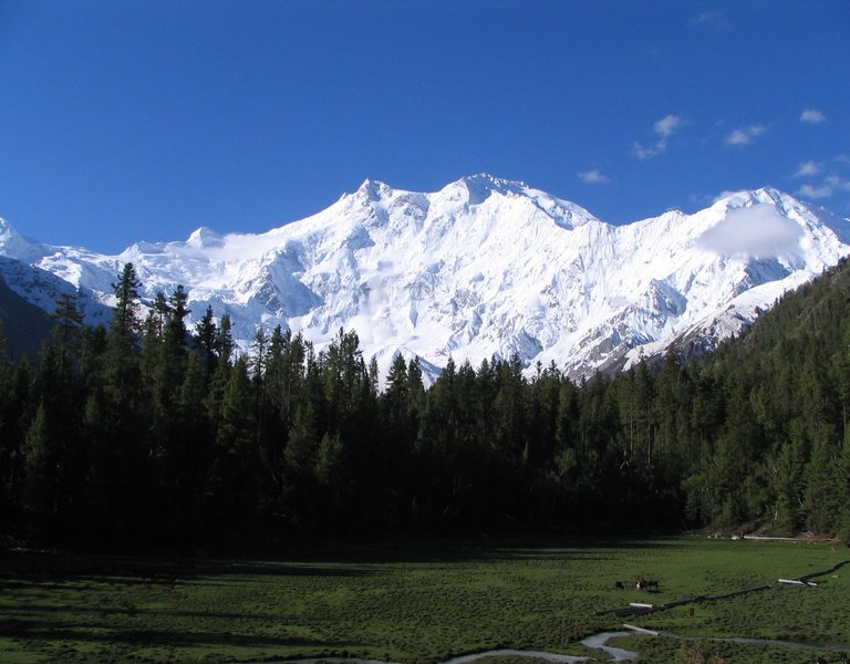 Polish team rescues French climber from Nanga Parbat