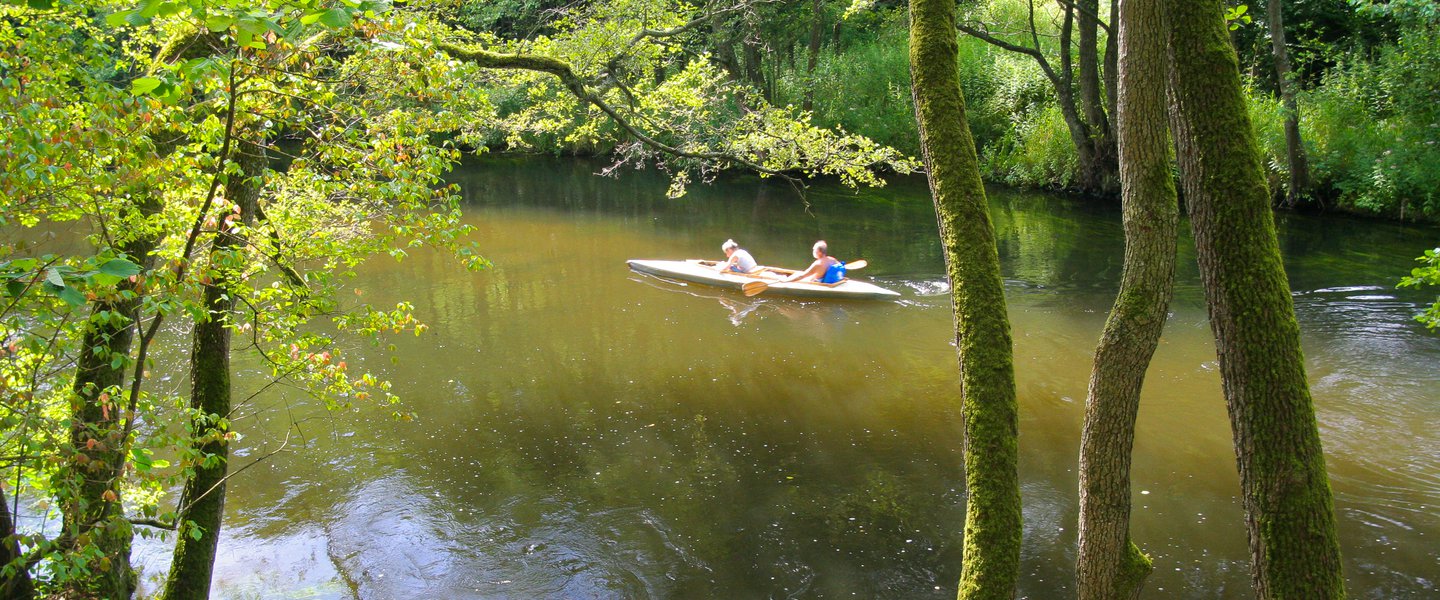 Drawa National Park