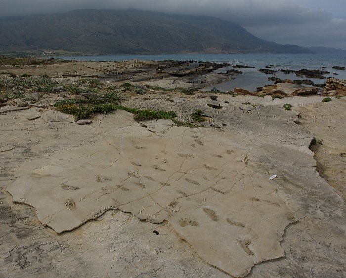 Polish researcher discovered the oldest footprints of early hominins