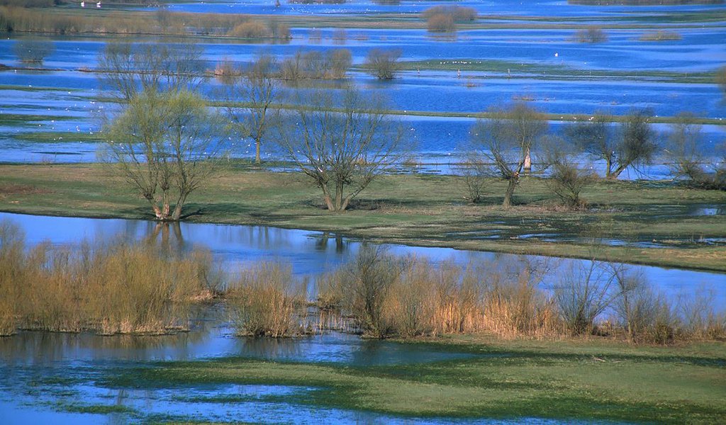 Narew National Park