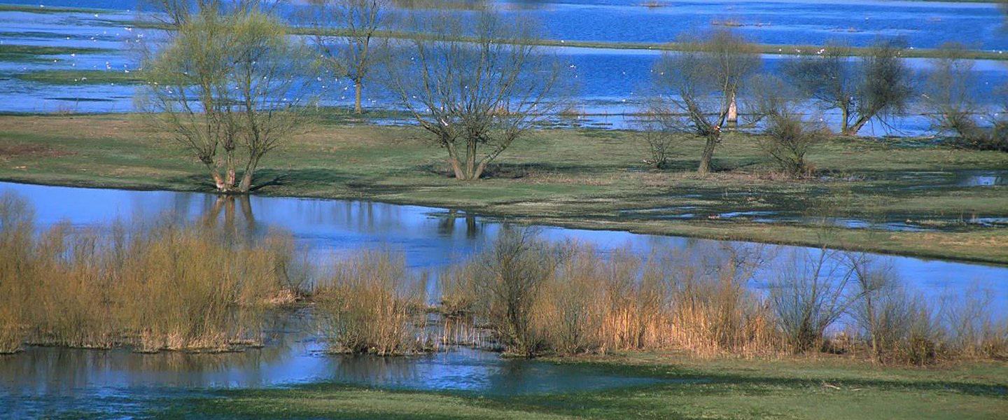 Narew National Park