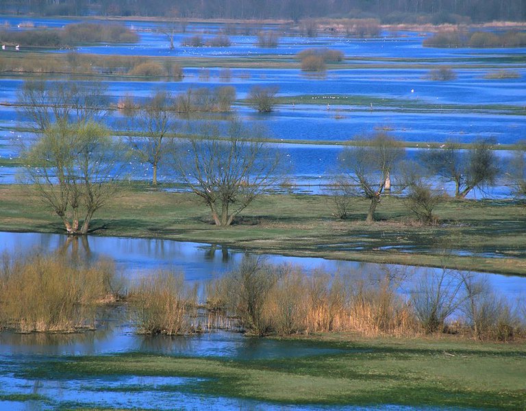 Narew National Park