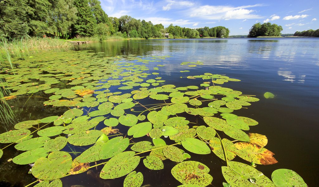 In a land of thousands lakes 