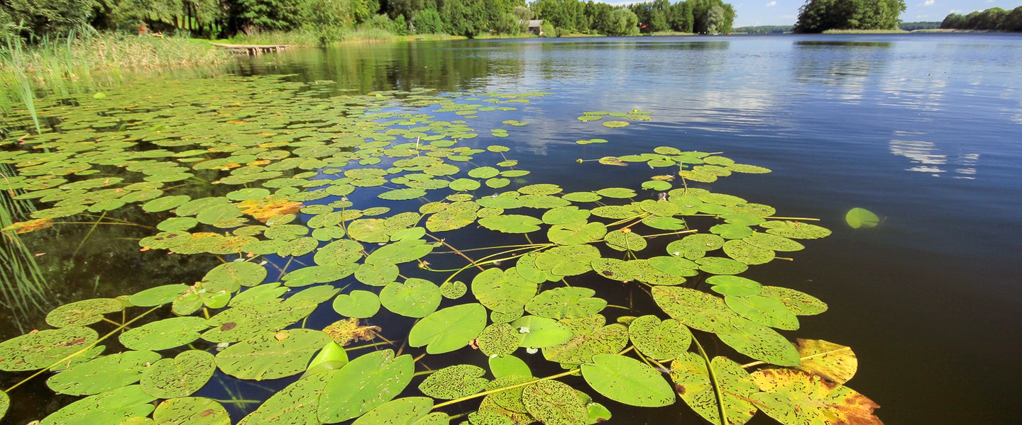 In a land of thousands lakes 