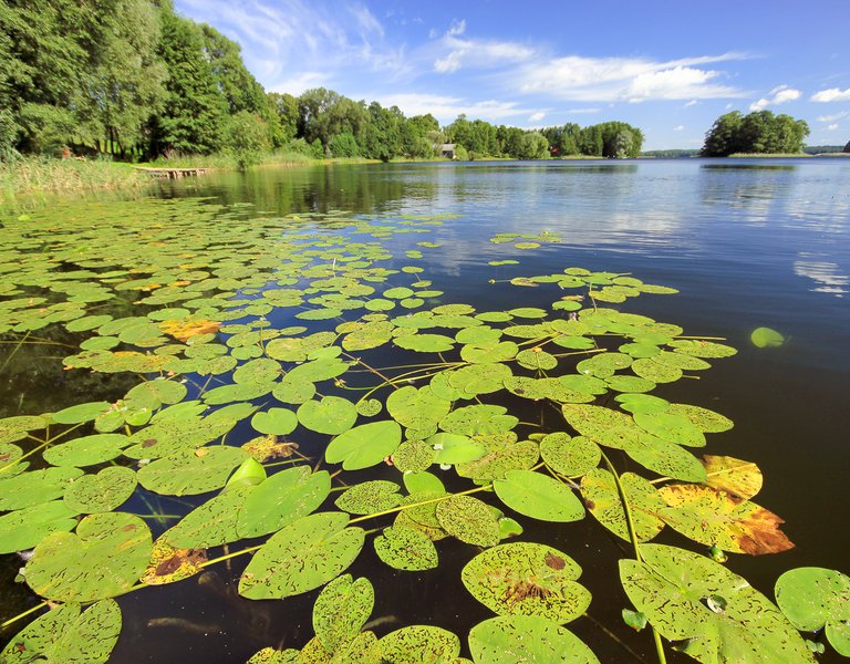 In a land of thousands lakes 