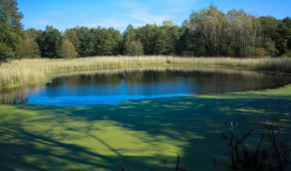 National Park of Wielkopolska