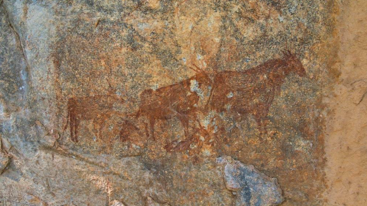 Polish archaeologist discovers hundreds of rock paintings in Tanzania