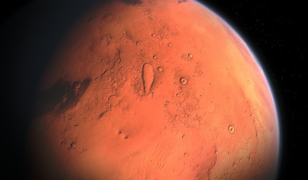 Polish Mole has landed on Mars