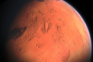 Polish Mole has landed on Mars