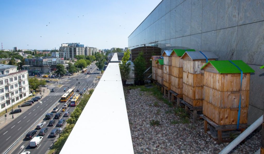 More beehives on the streets of Warsaw