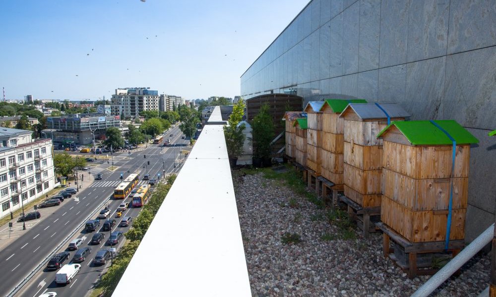 More beehives on the streets of Warsaw