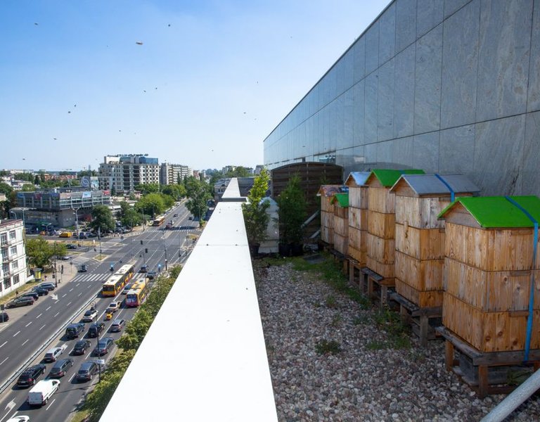 More beehives on the streets of Warsaw