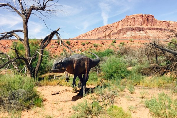 Paleosafari Moab Giants