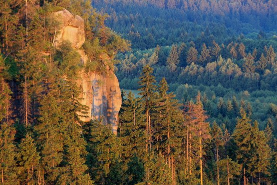 Stołowe Mountains National Park