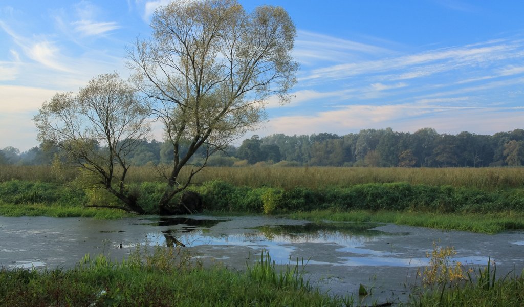 "Warta Mouth" National Park