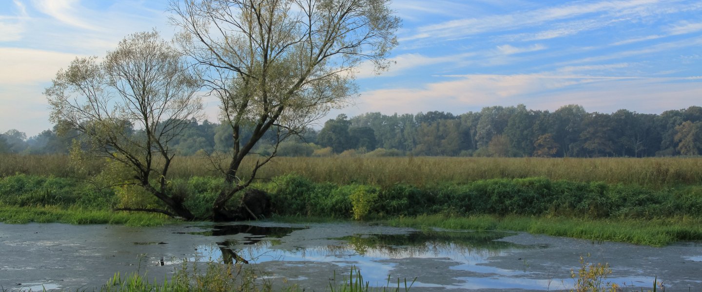 "Warta Mouth" National Park