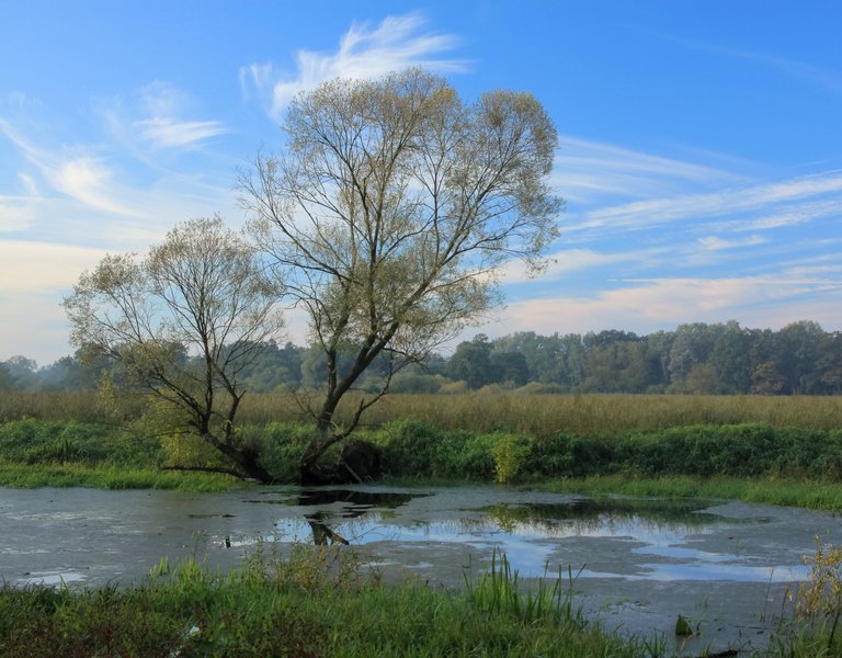 "Warta Mouth" National Park