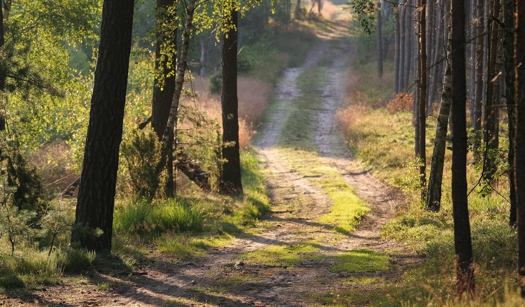 "Bory Tucholskie" National Park