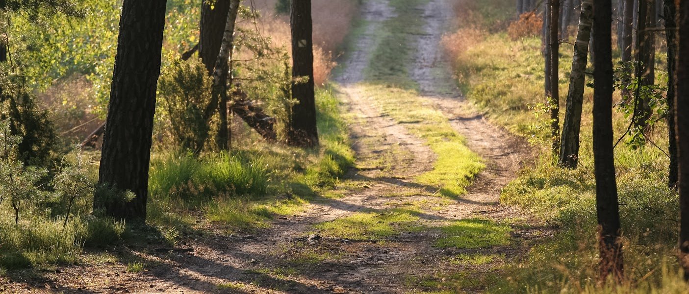 "Bory Tucholskie" National Park