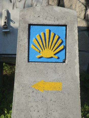 Shell of St. James, Sandomierz