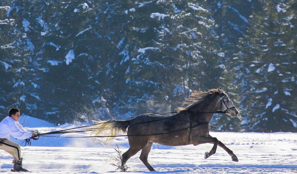 Gliding on skis